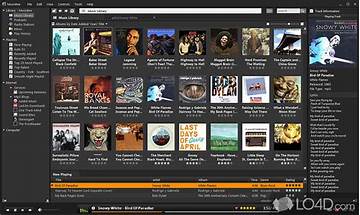 MusicBee for Windows - Download it from Habererciyes for free